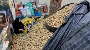 كيلو البطاطس بـ7.5 جنيه.. تعرف على أسعار الخضراوات والفاكهة في منافذ الوادي الجديد.